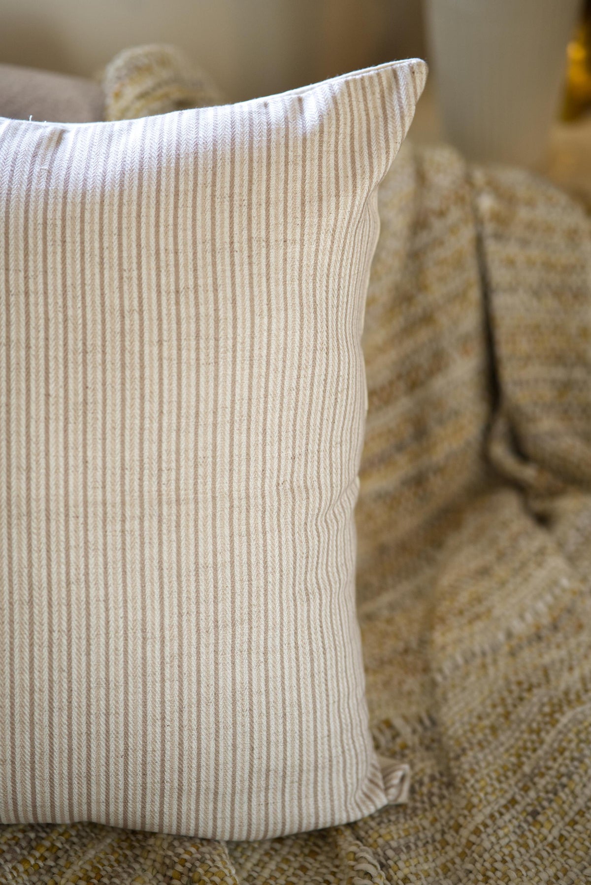 The Cocoa and cream Cushion set