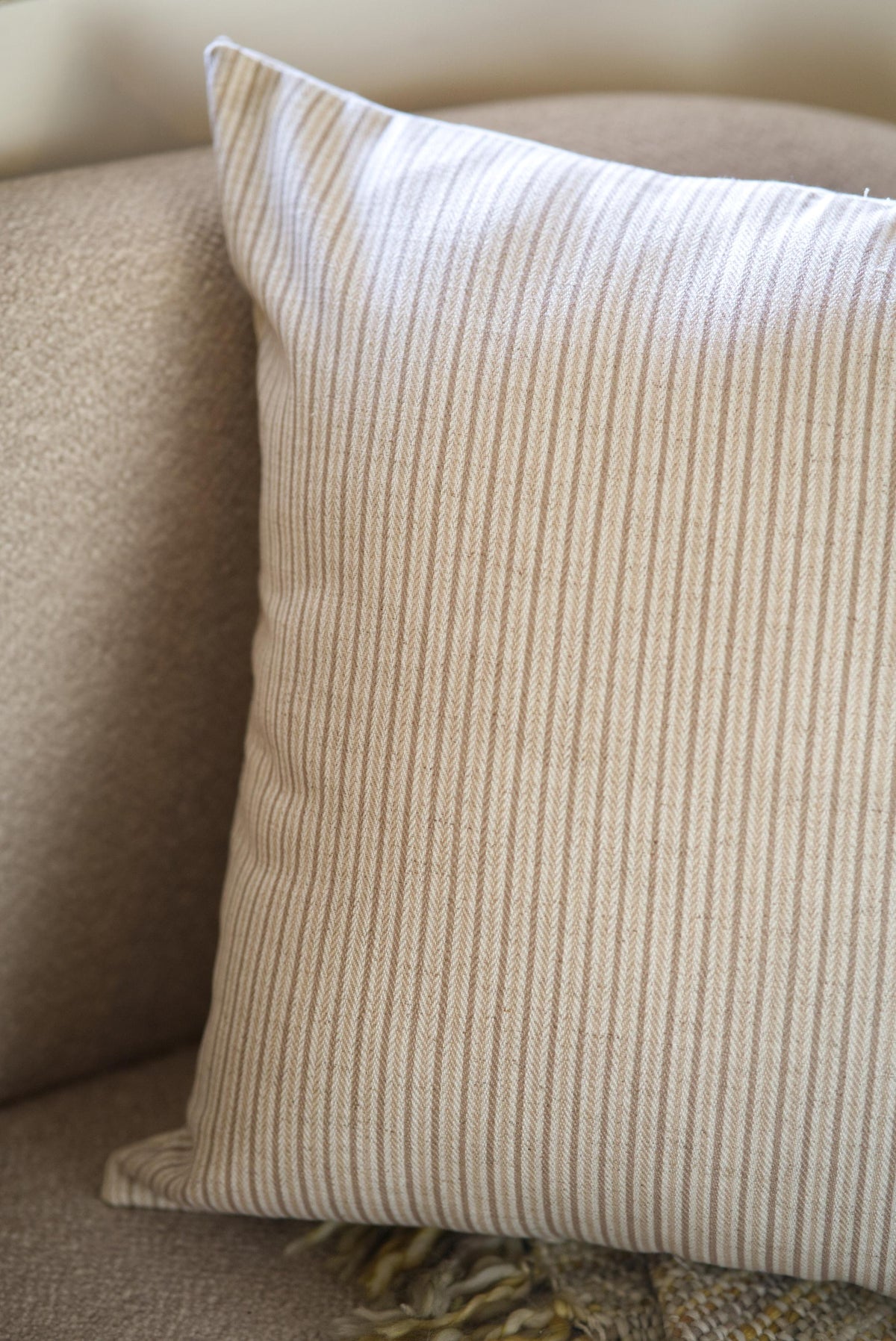 The Cocoa and cream Cushion set