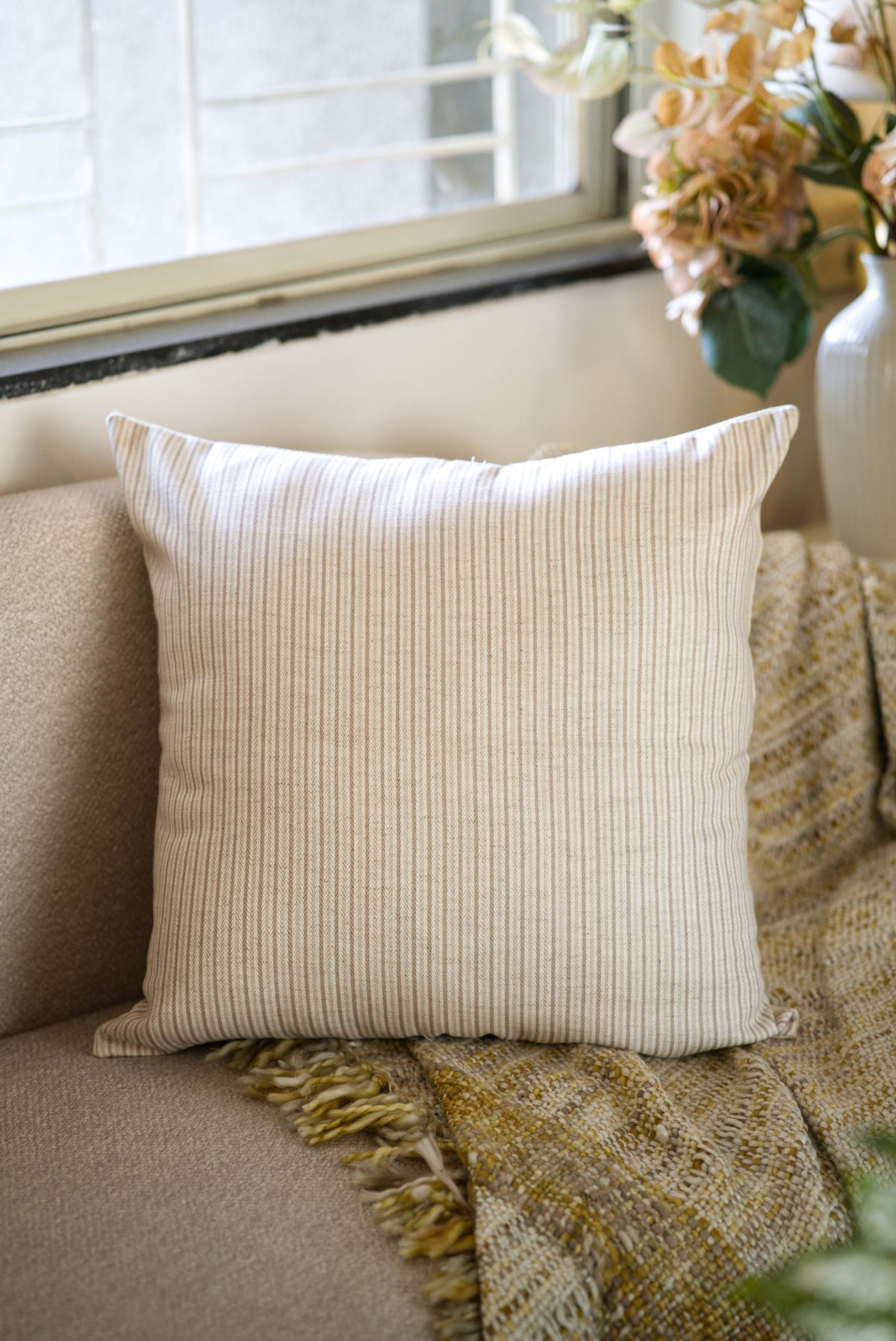 The Cocoa and cream Cushion set