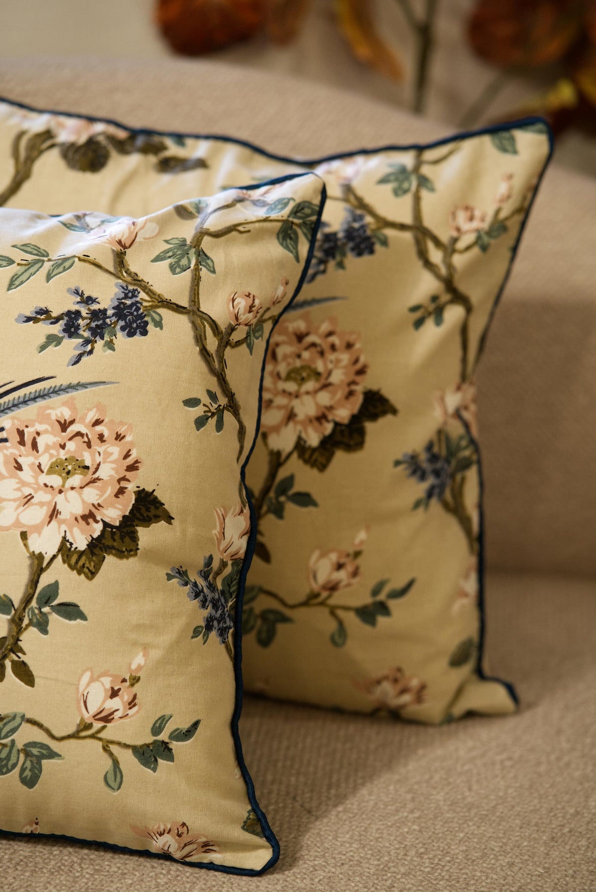 The Soft Serenade Cushion set