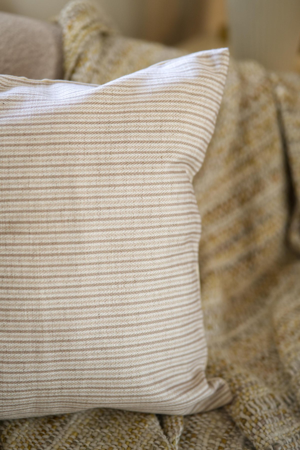 The Cocoa and cream Cushion set